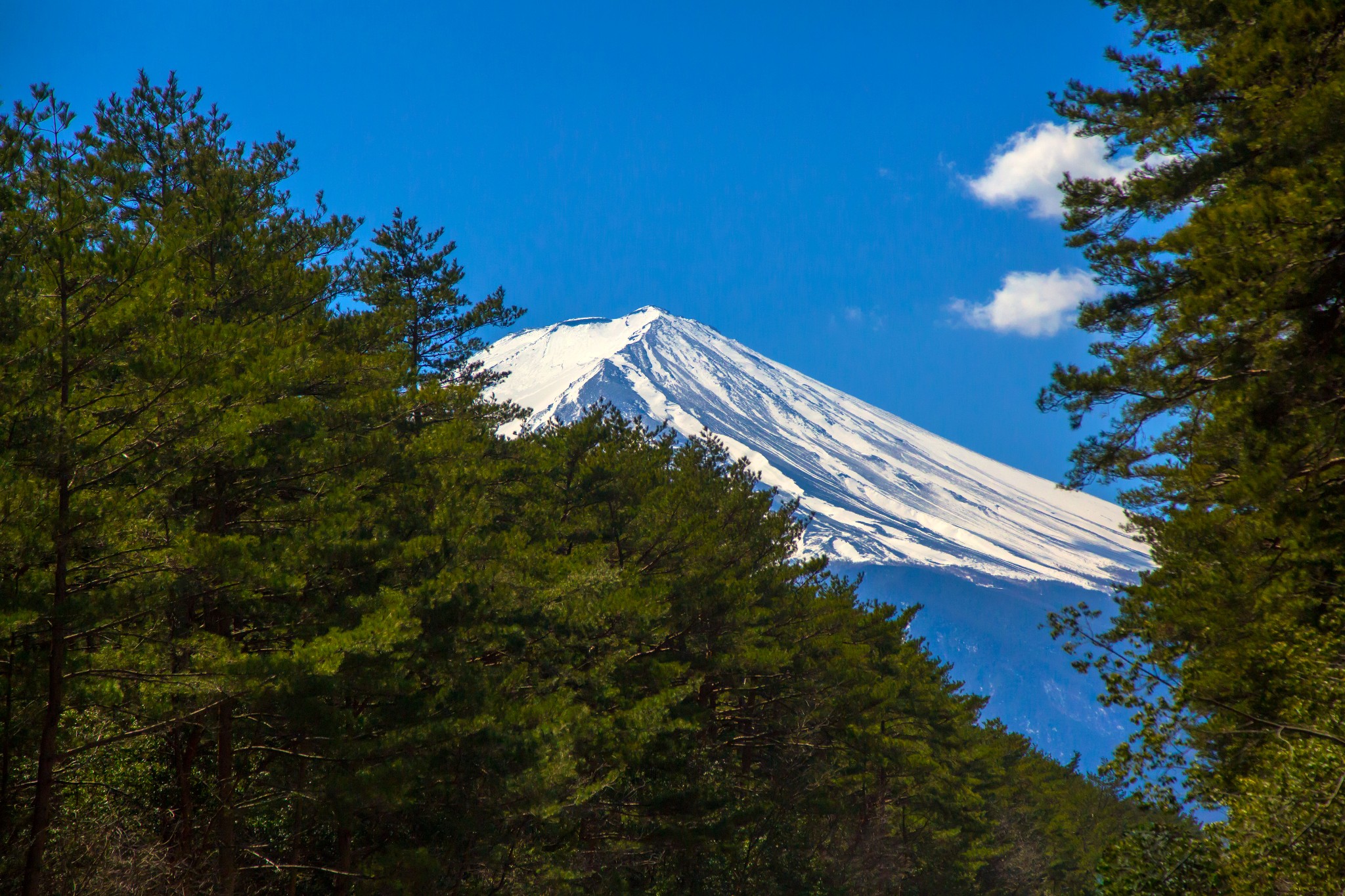 富士山自助遊攻略