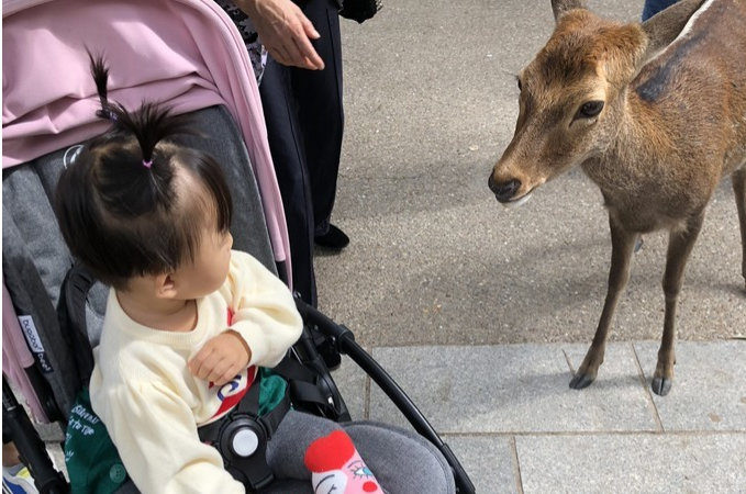 大阪自助遊攻略