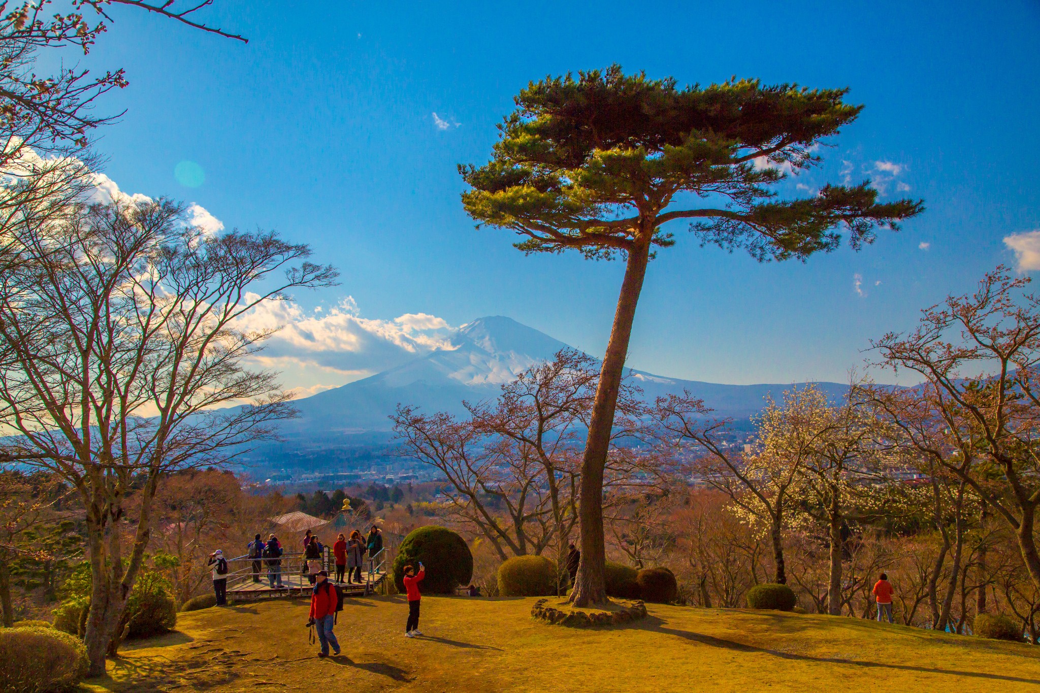 富士山自助遊攻略