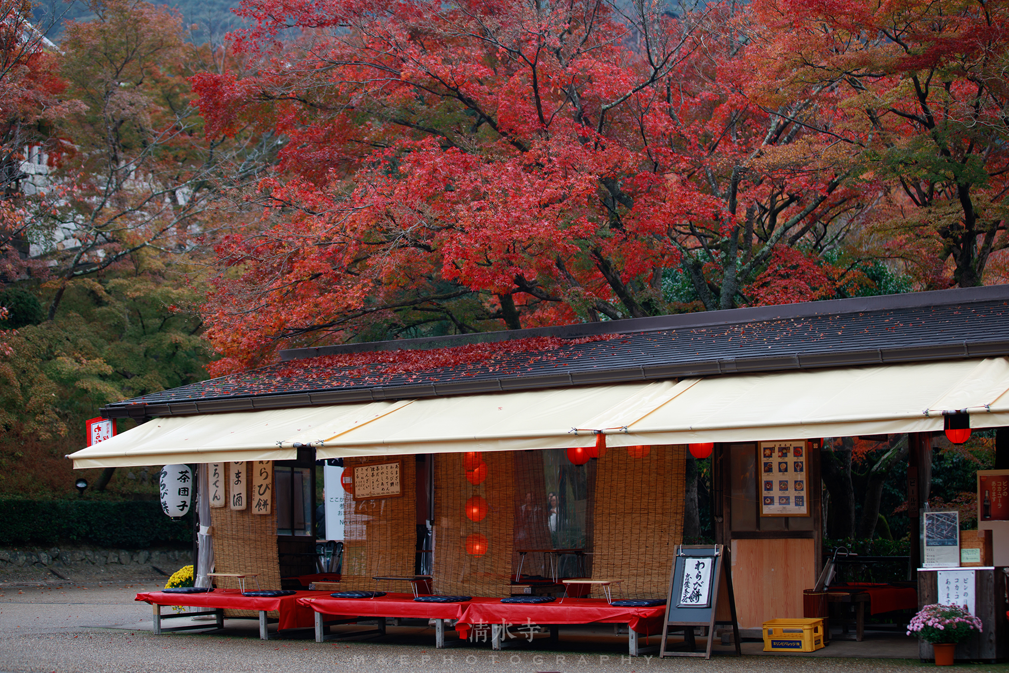 京都自助遊攻略