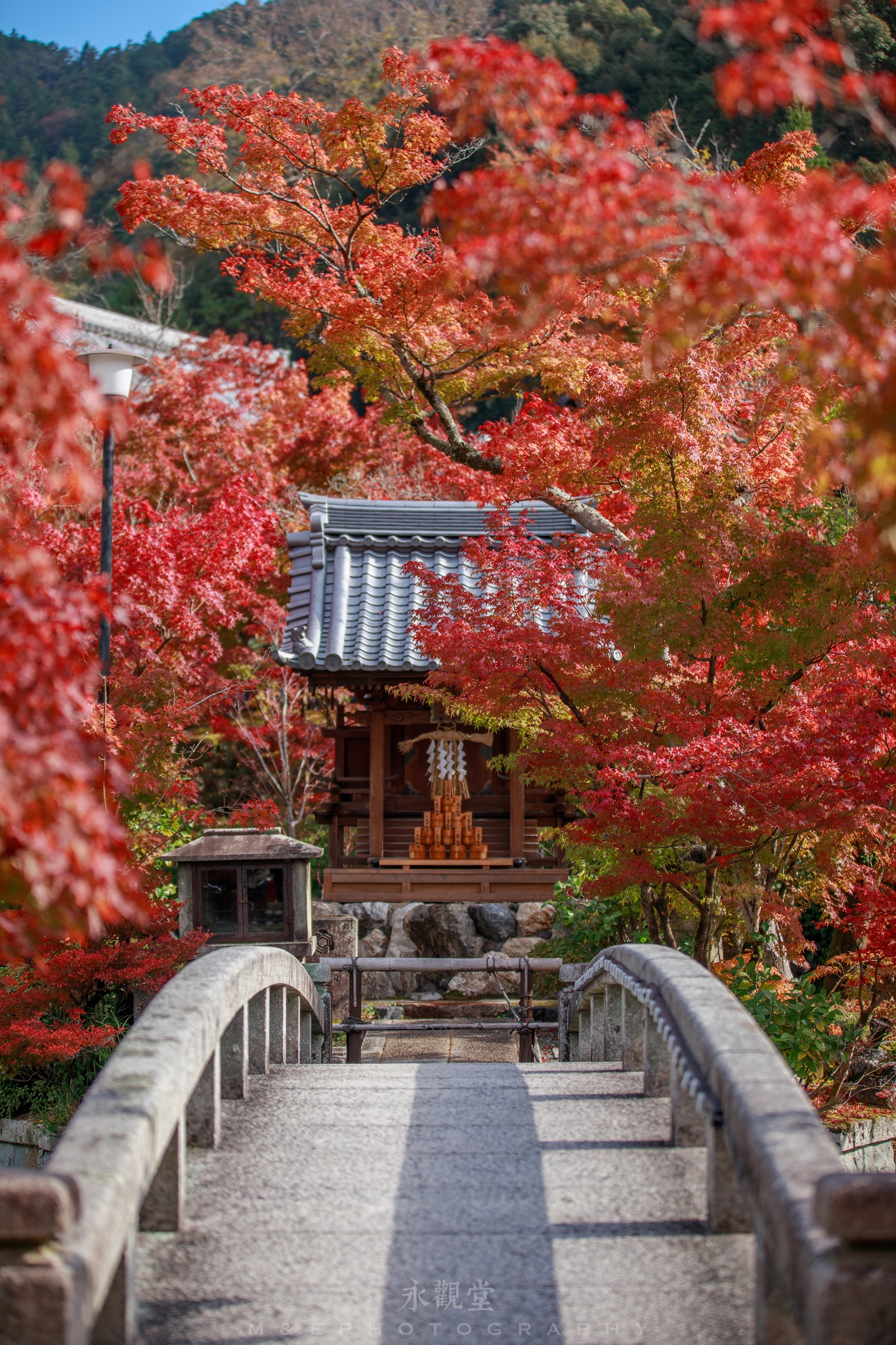 京都自助遊攻略