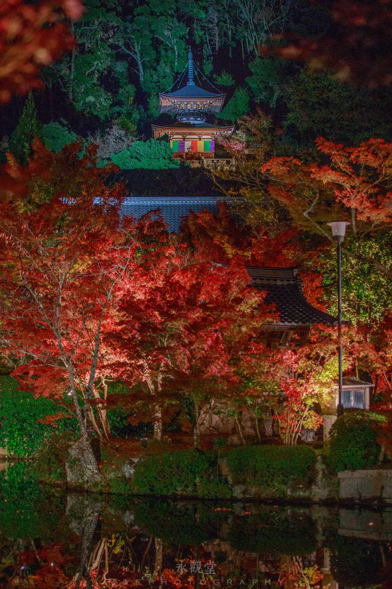 京都自助遊攻略