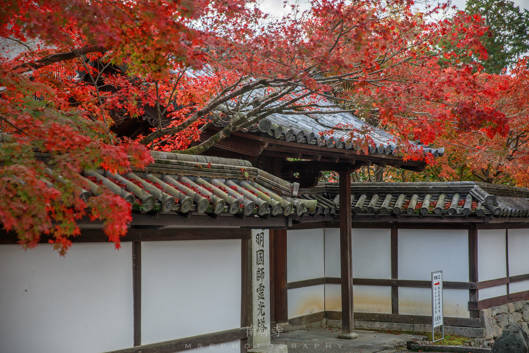 京都自助遊攻略