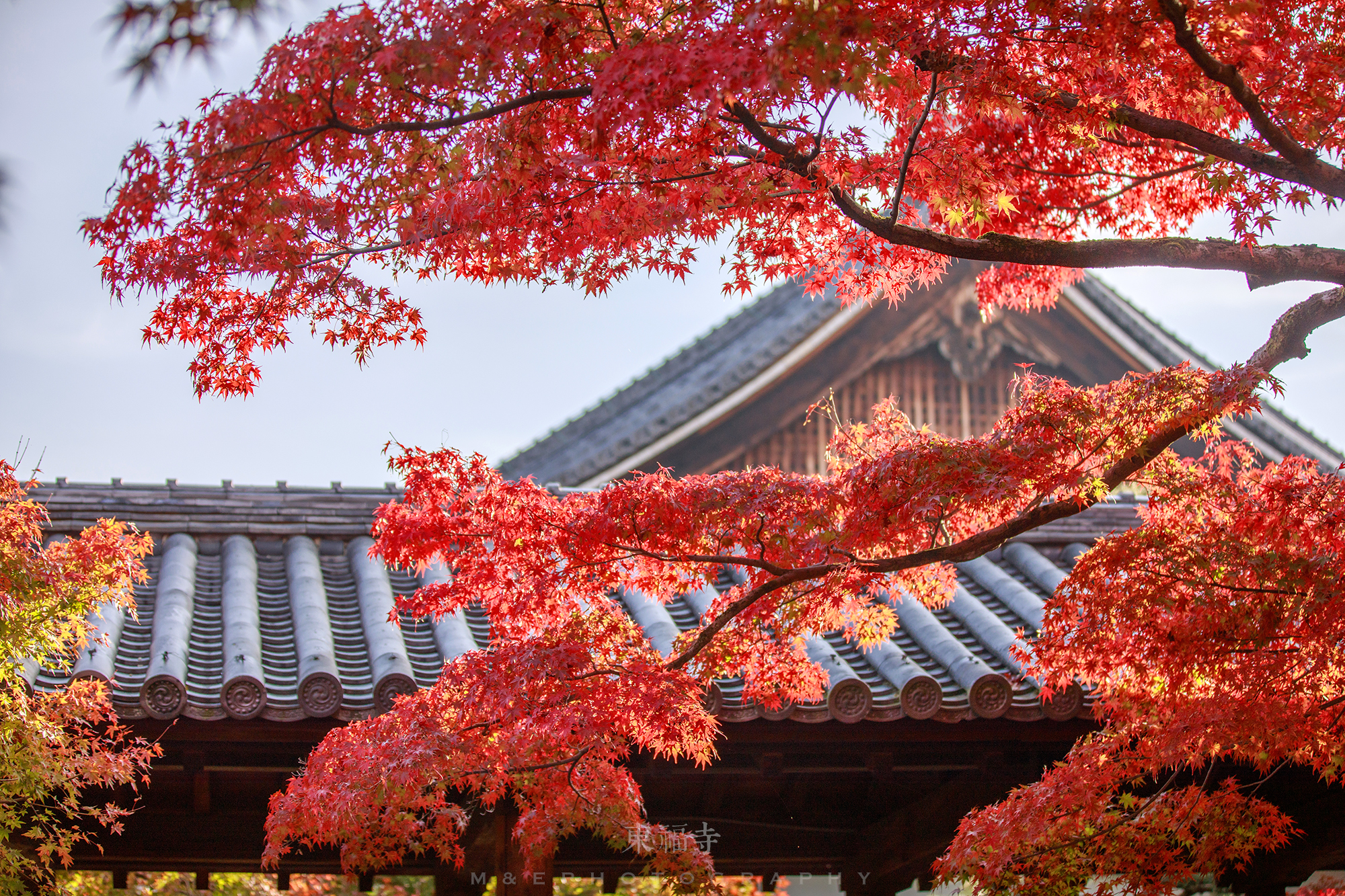 京都自助遊攻略