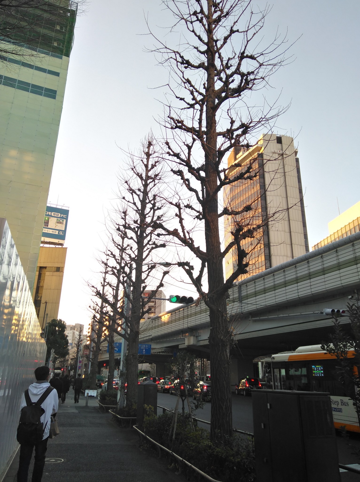 東京自助遊攻略