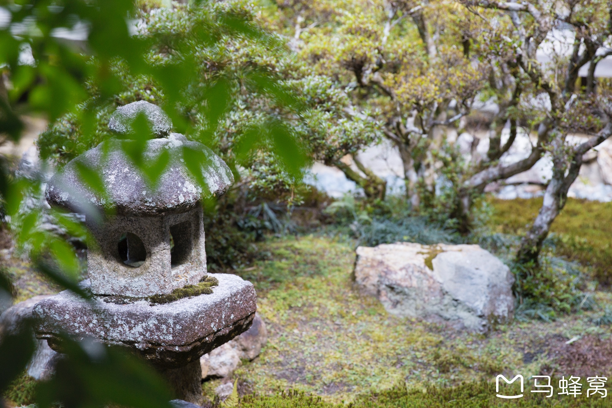 京都自助遊攻略