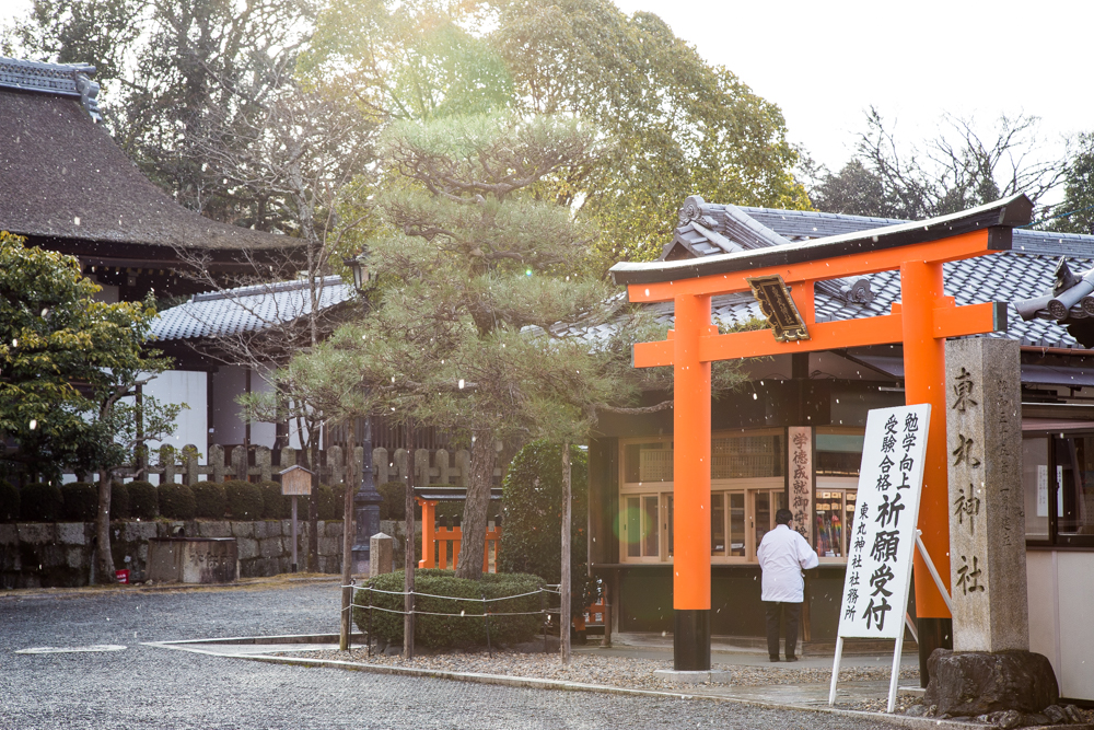 北海道自助遊攻略