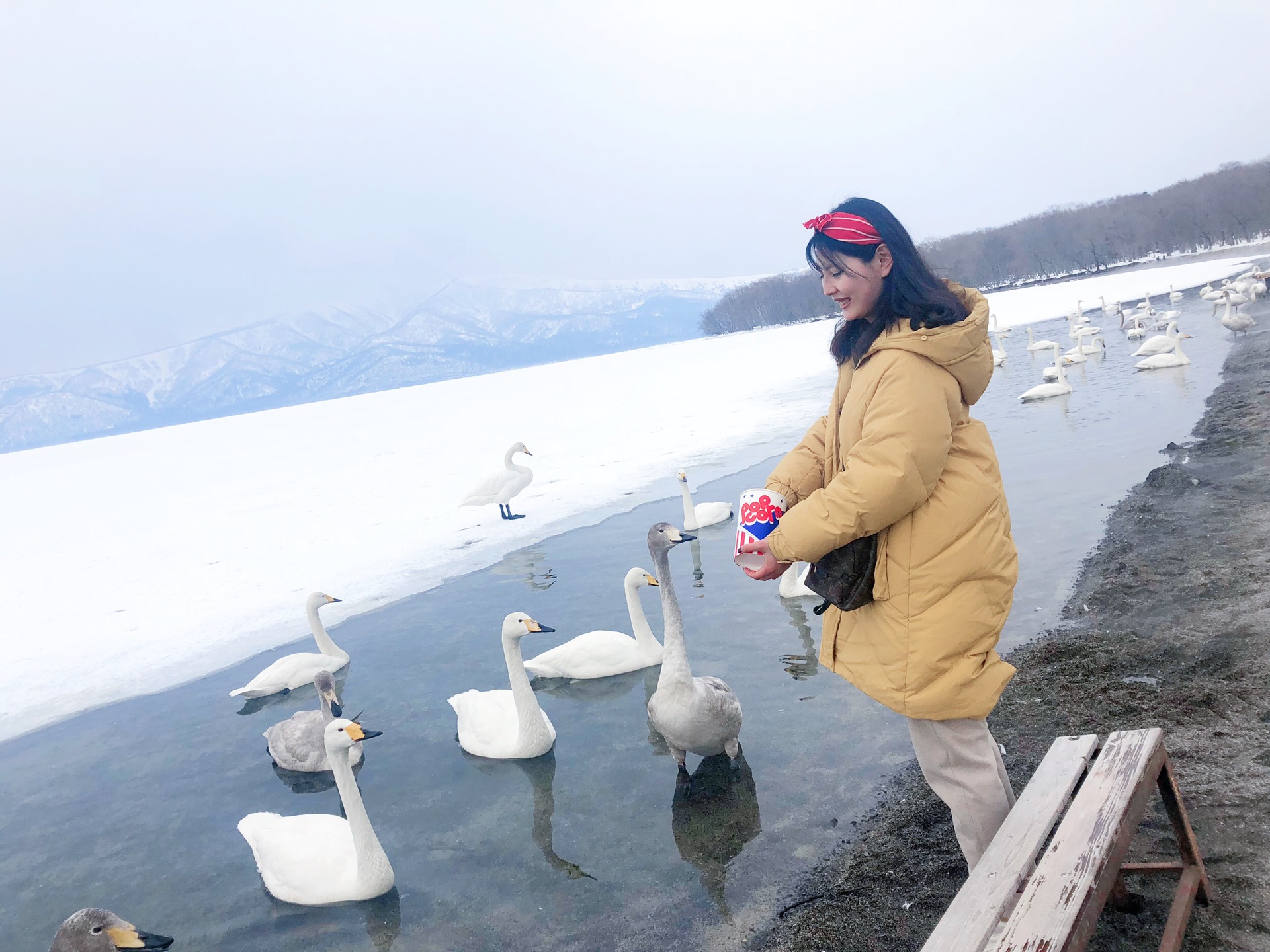 北海道自助遊攻略