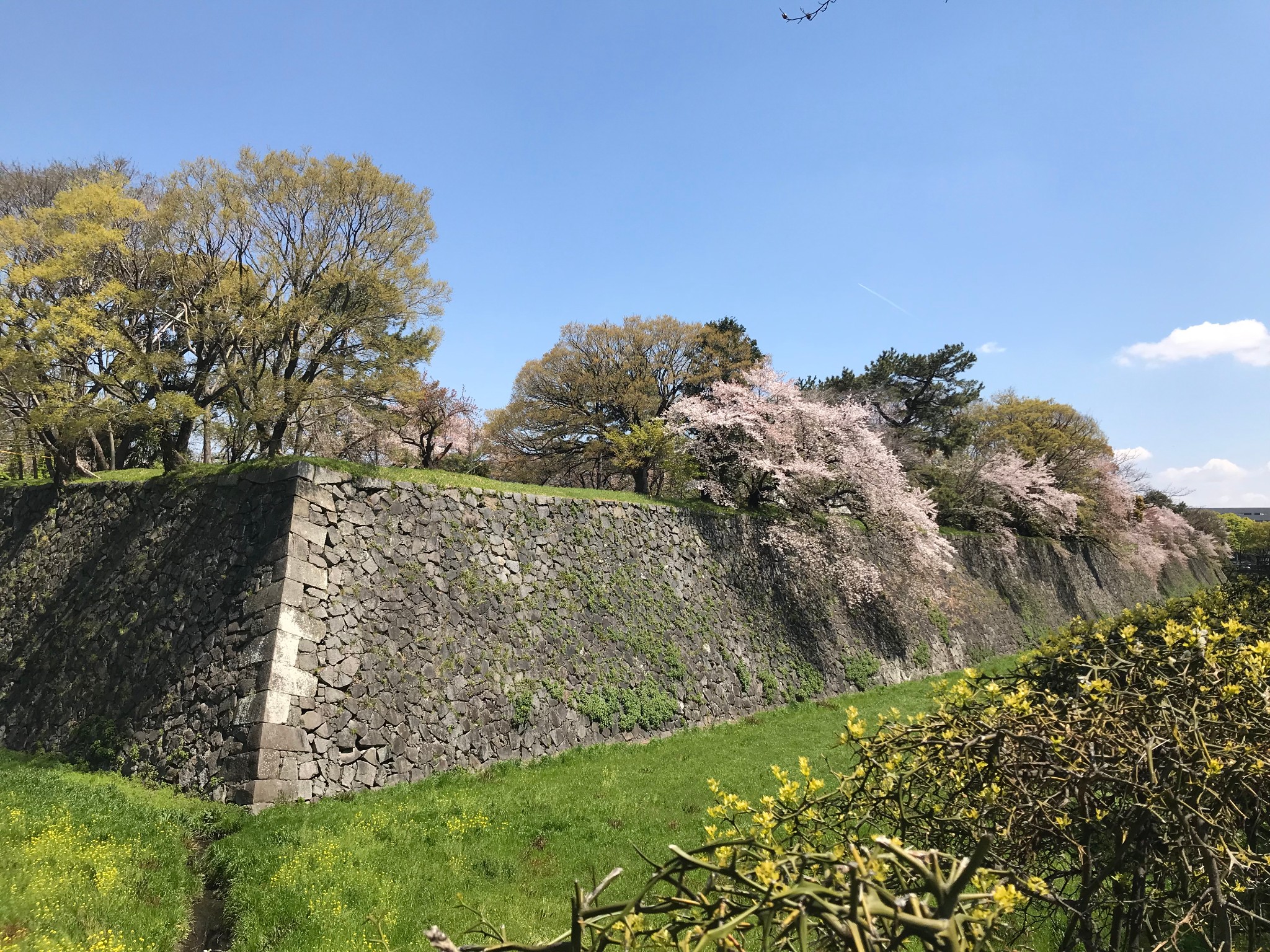 名古屋自助遊攻略