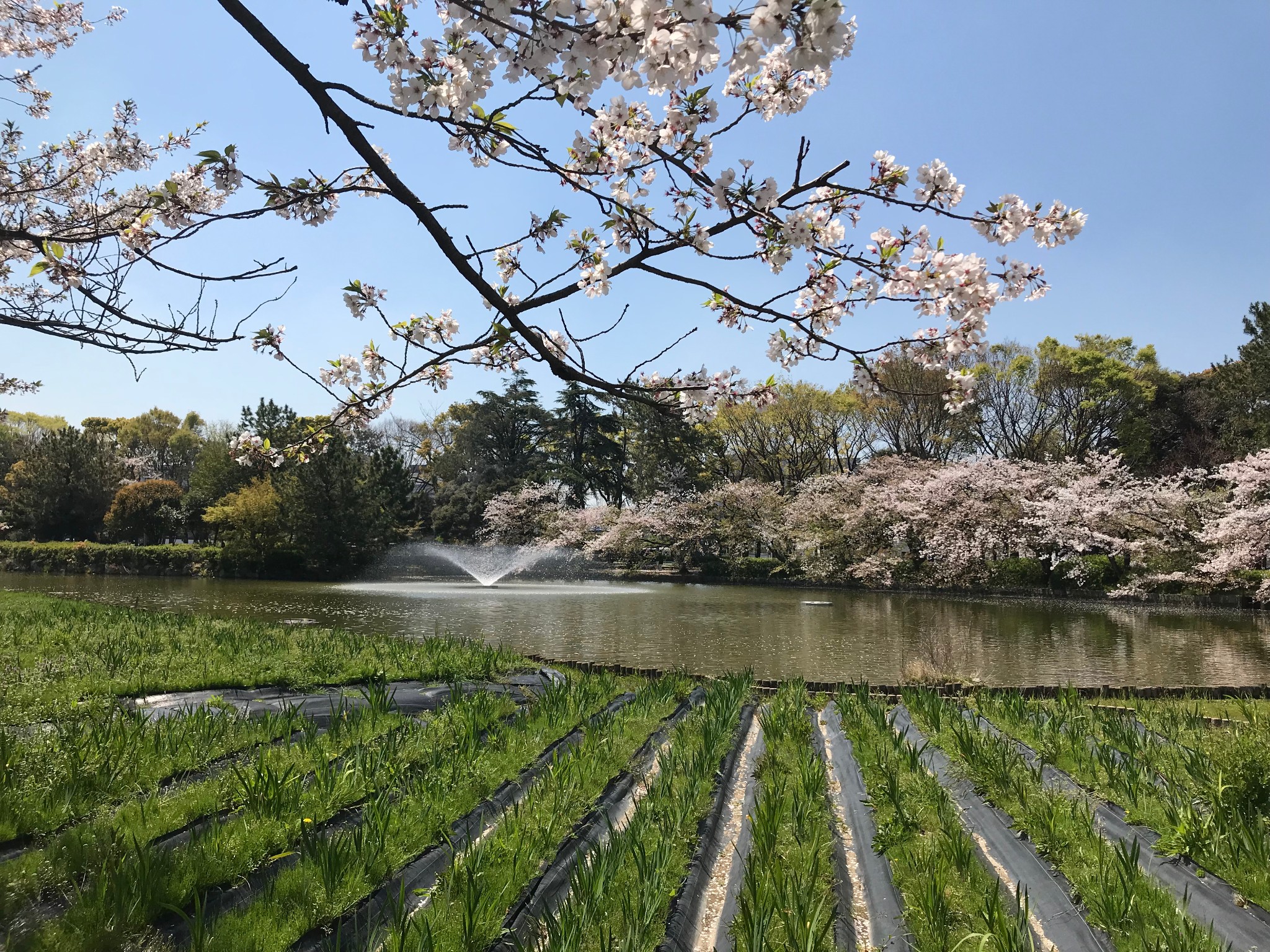 名古屋自助遊攻略