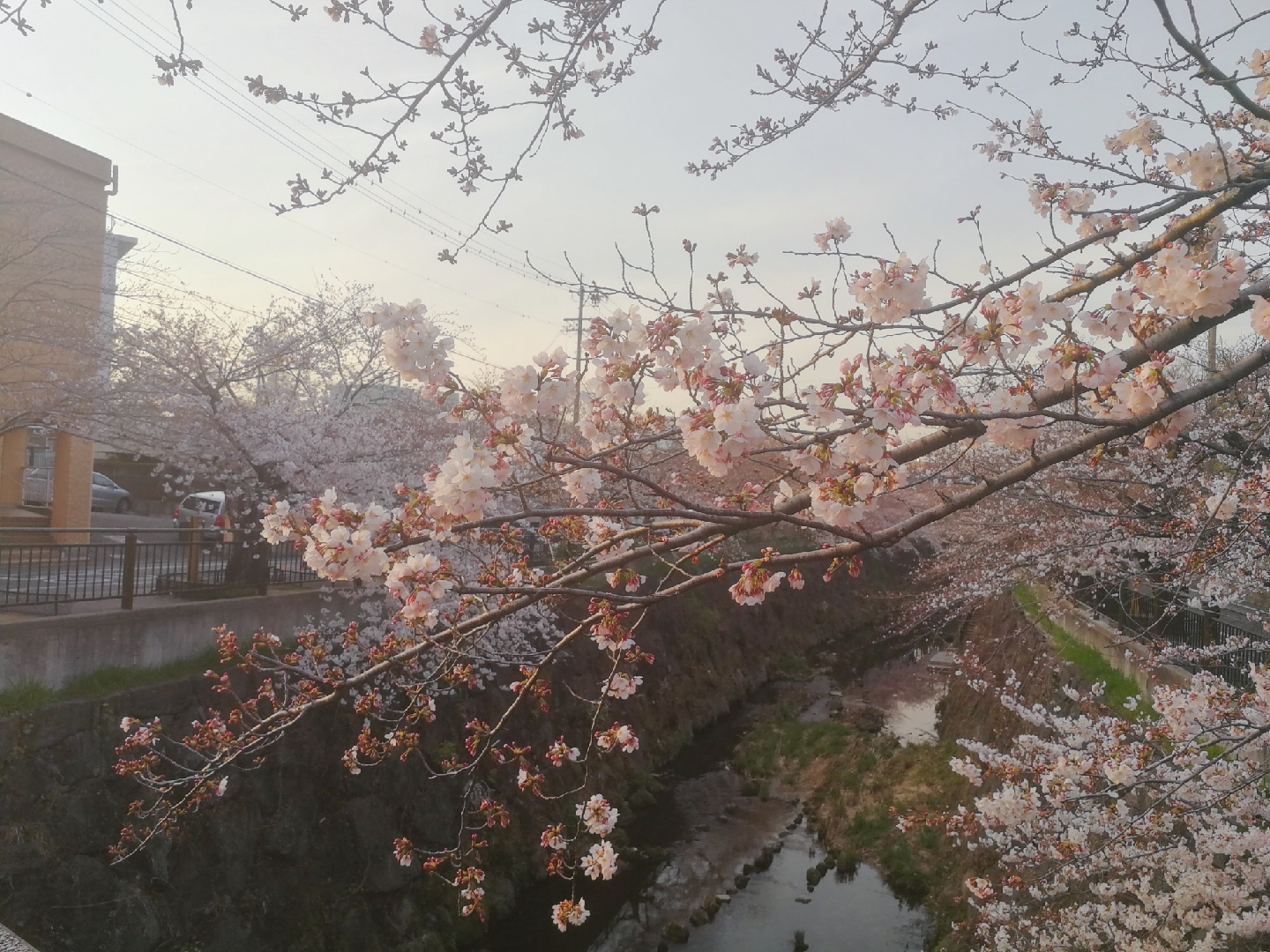 名古屋自助遊攻略