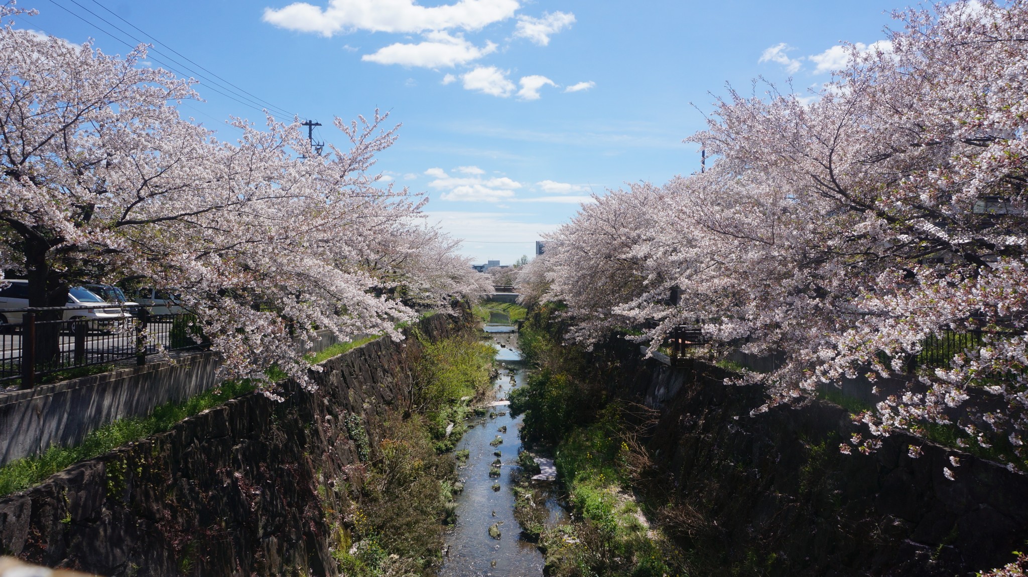 名古屋自助遊攻略