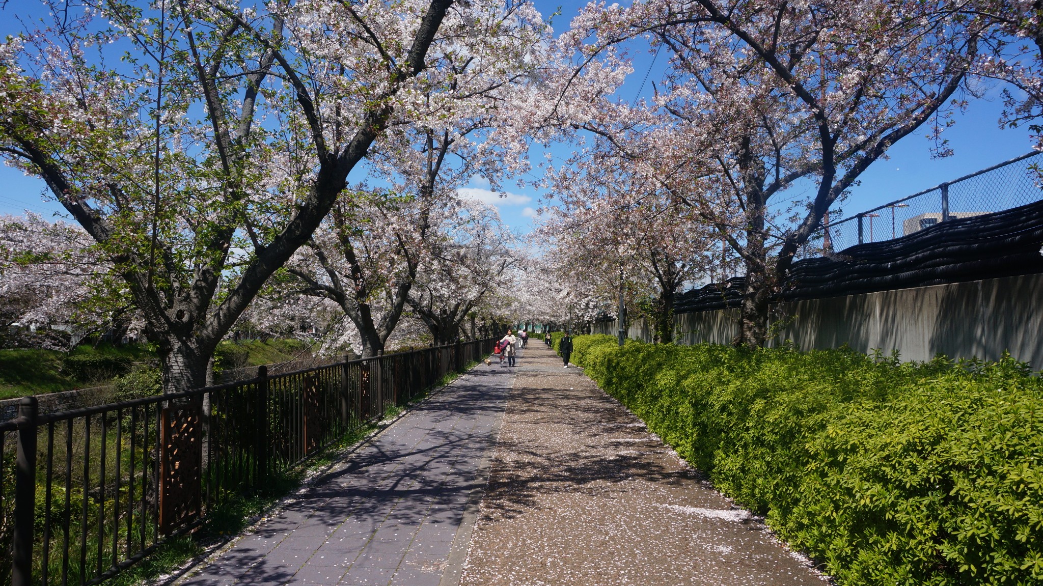 名古屋自助遊攻略