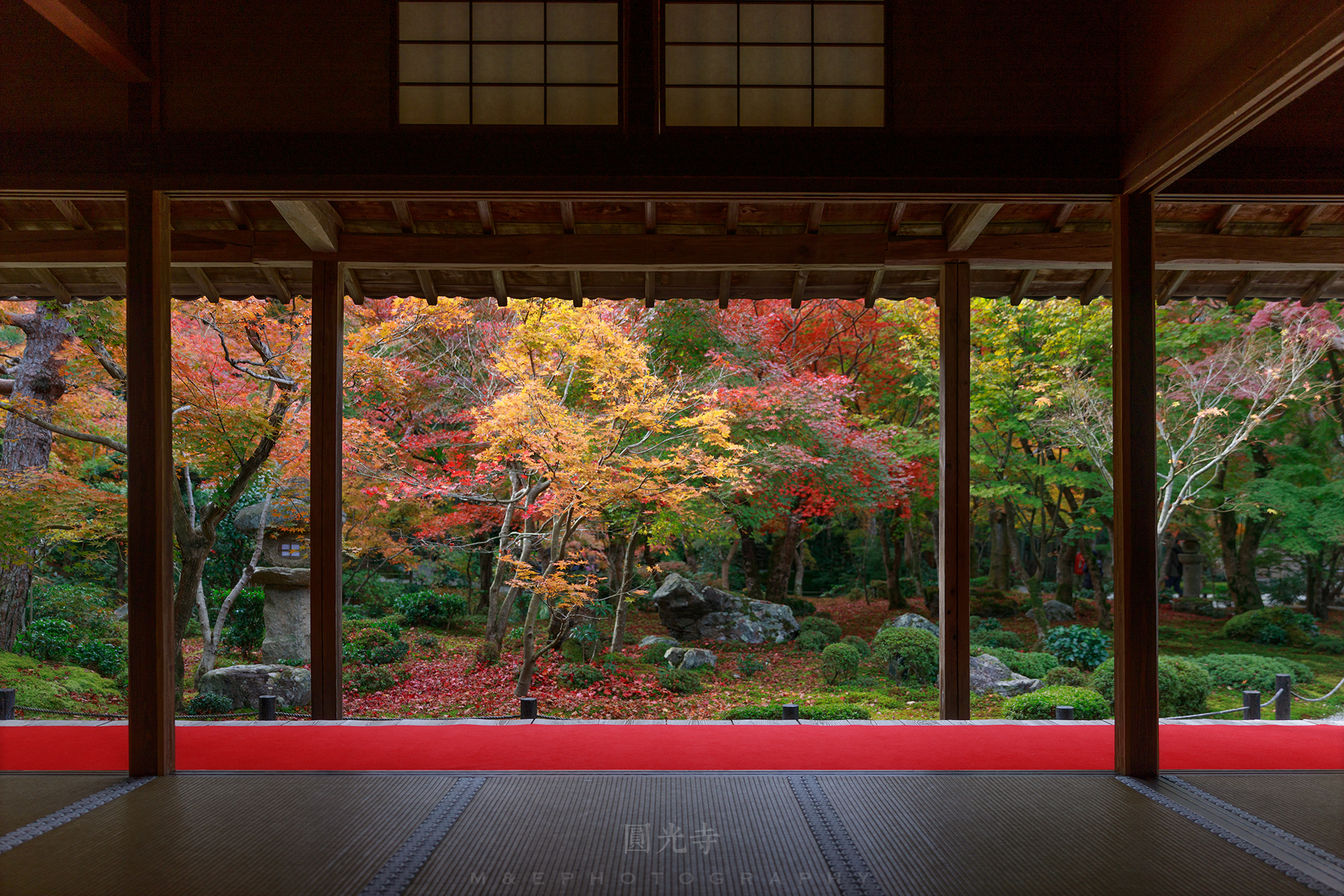 京都自助遊攻略