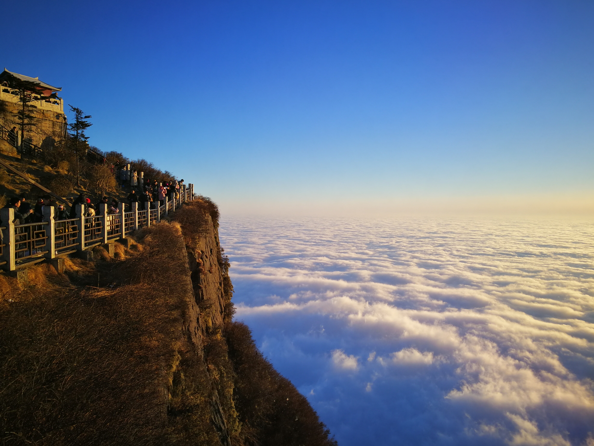 乐山2019年出生人口_乐山大佛(2)