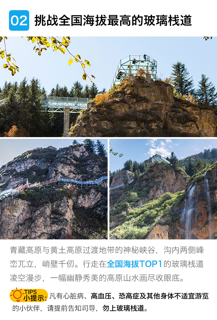 雅水人口_人口普查(3)