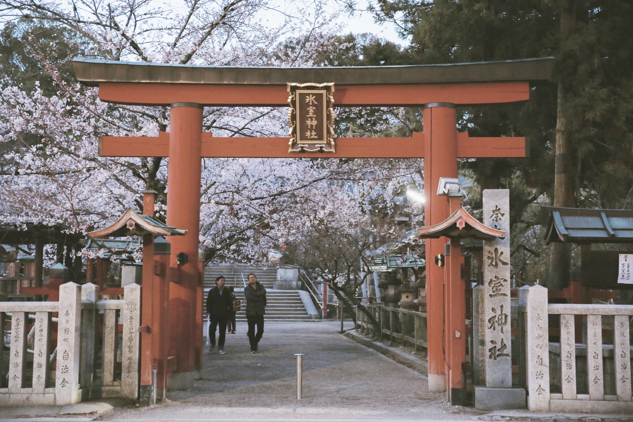 京都自助遊攻略