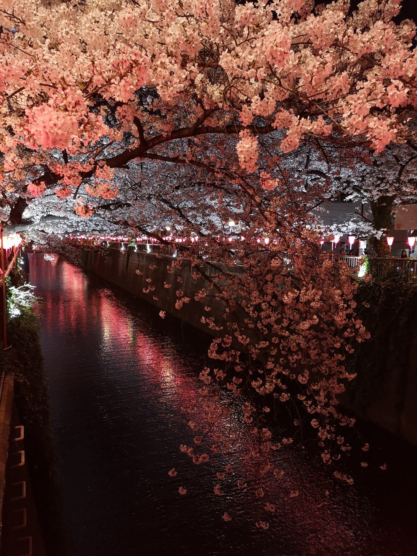 東京自助遊攻略