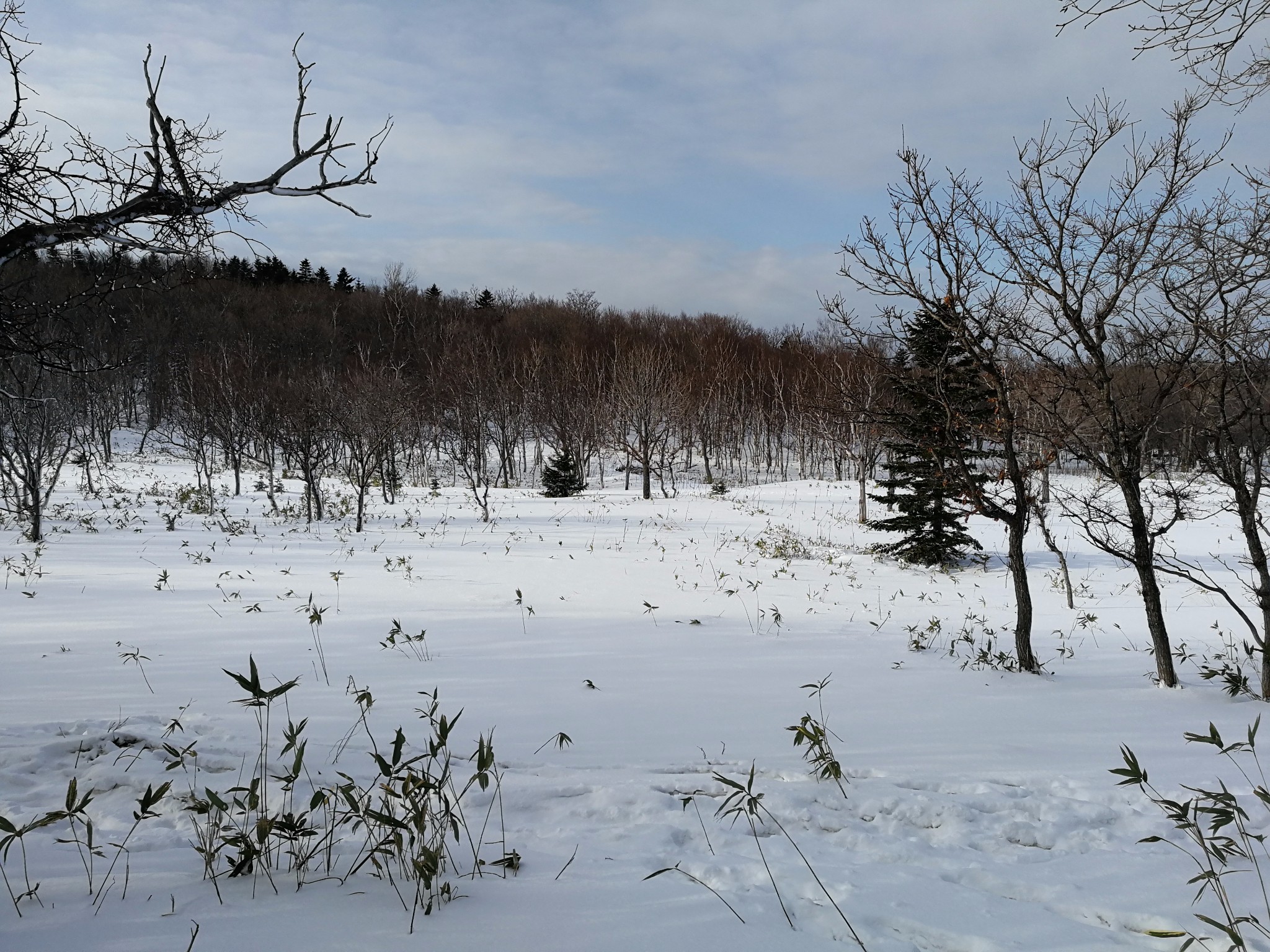 北海道自助遊攻略