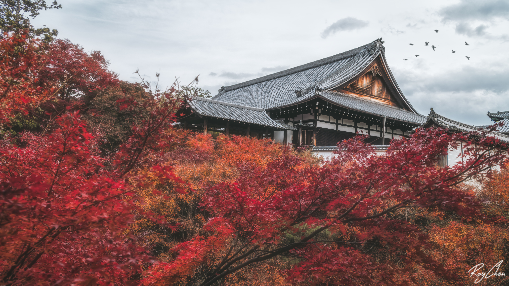 京都自助遊攻略