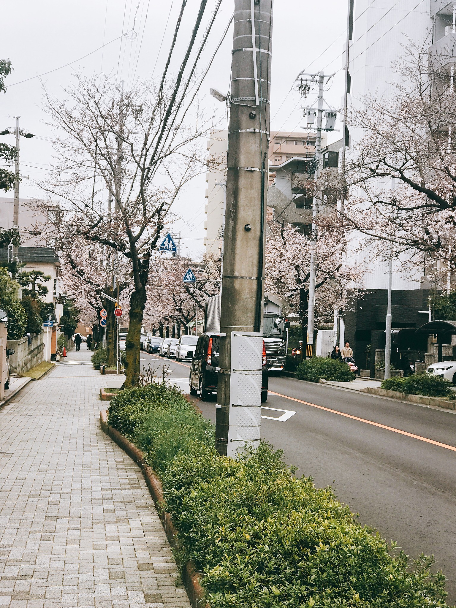 名古屋自助遊攻略