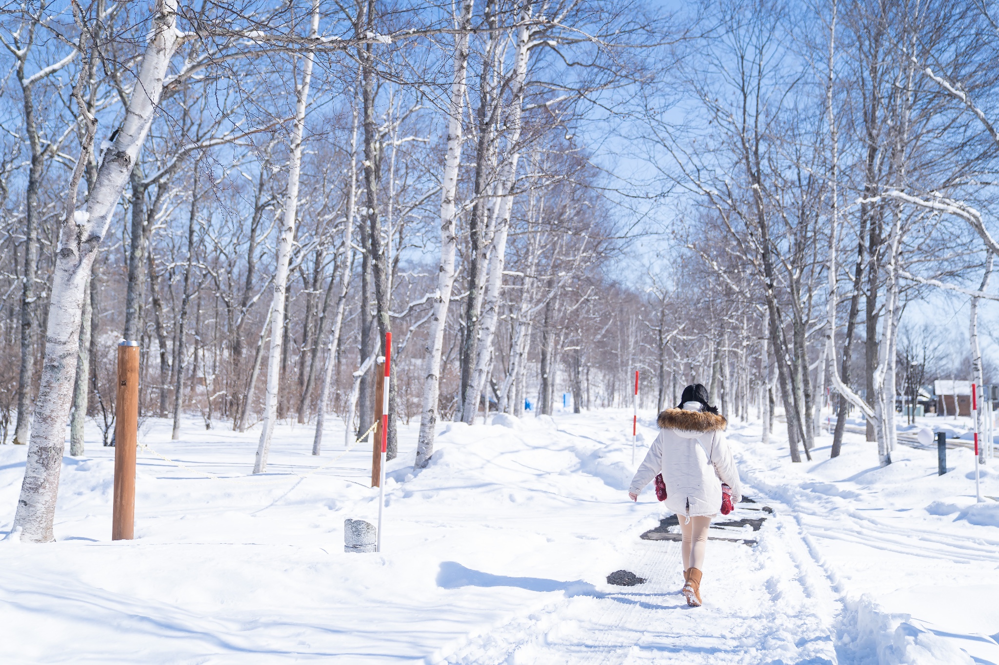 北海道自助遊攻略