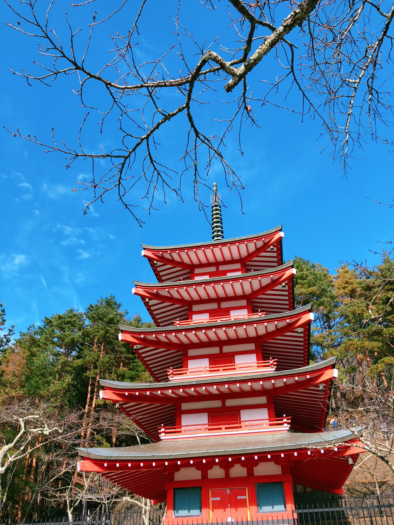 東京自助遊攻略