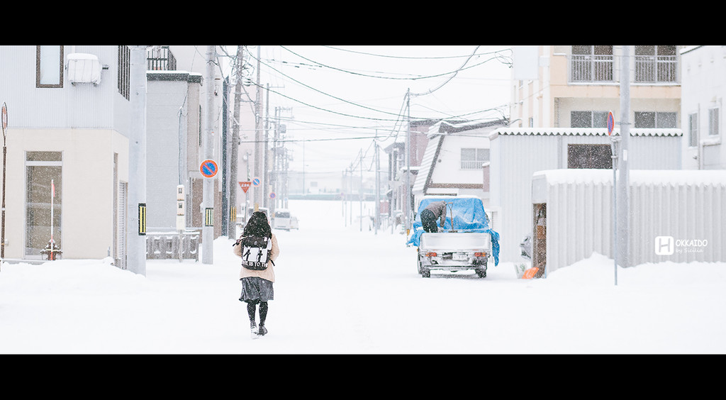 北海道自助遊攻略