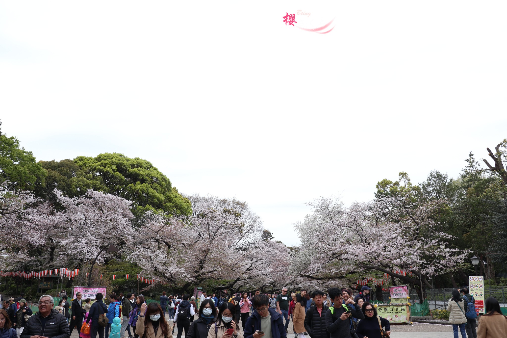 東京自助遊攻略