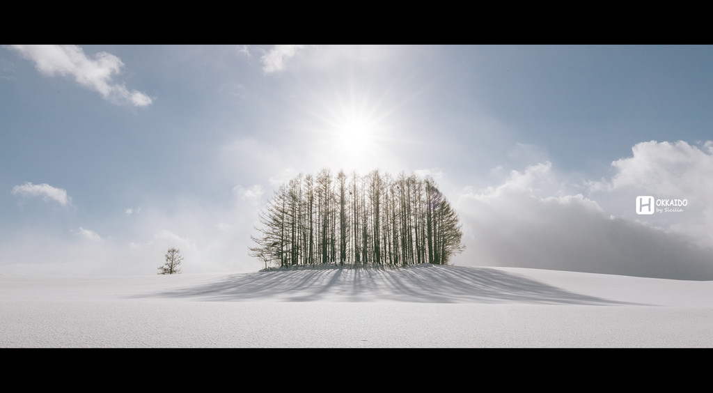 北海道自助遊攻略