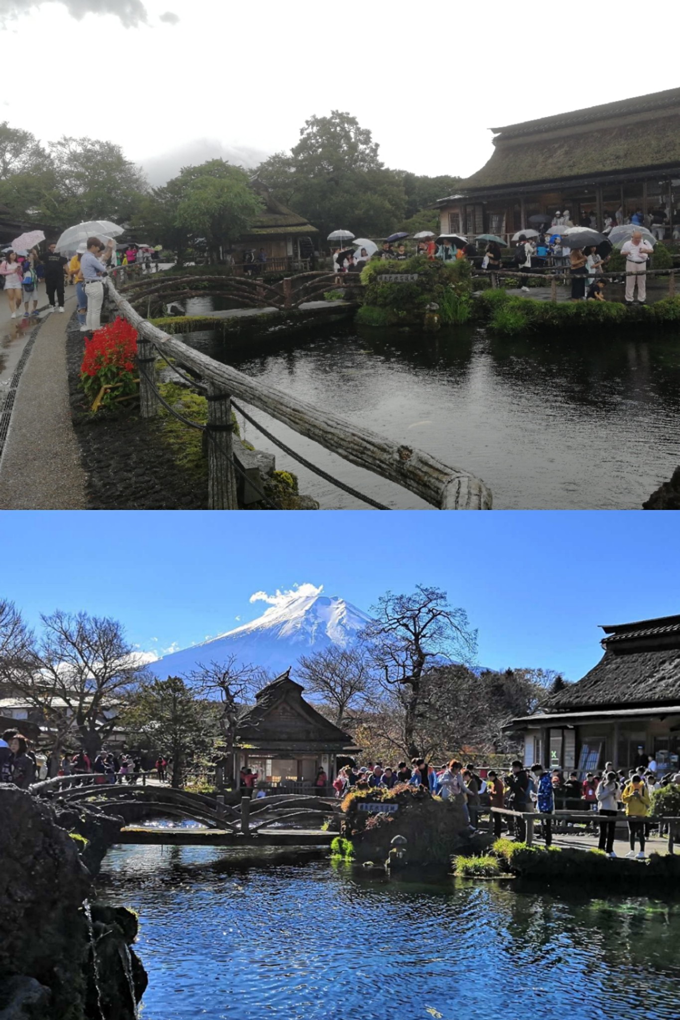 東京自助遊攻略