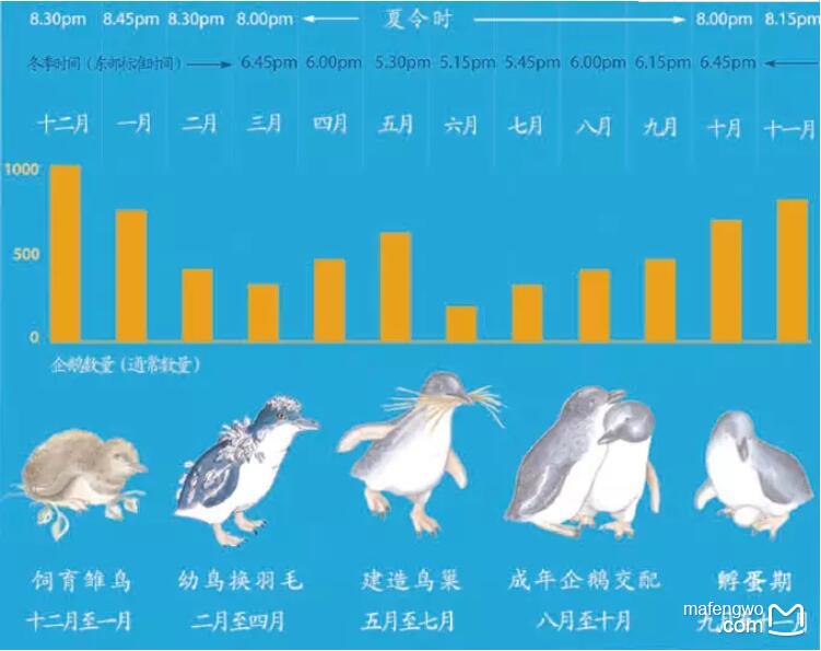 澳大利亞自助遊攻略