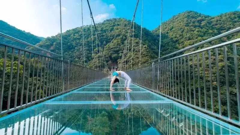 福寿山薰衣草园赏花一日游全程0购0销花海拍大片网红玻璃桥高空秋千多