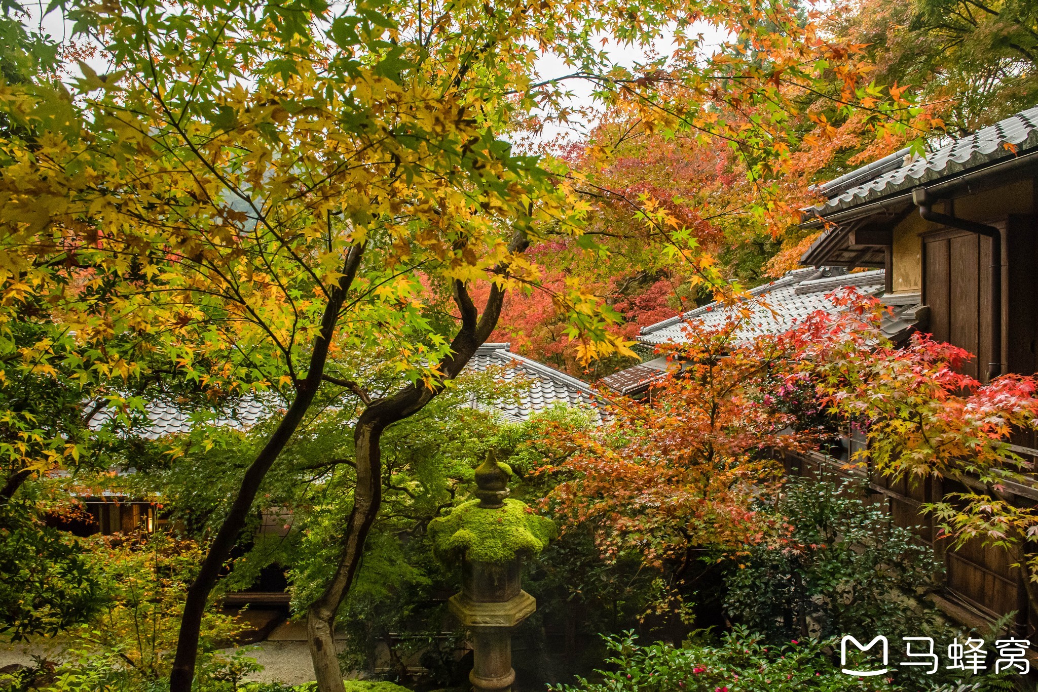 京都自助遊攻略