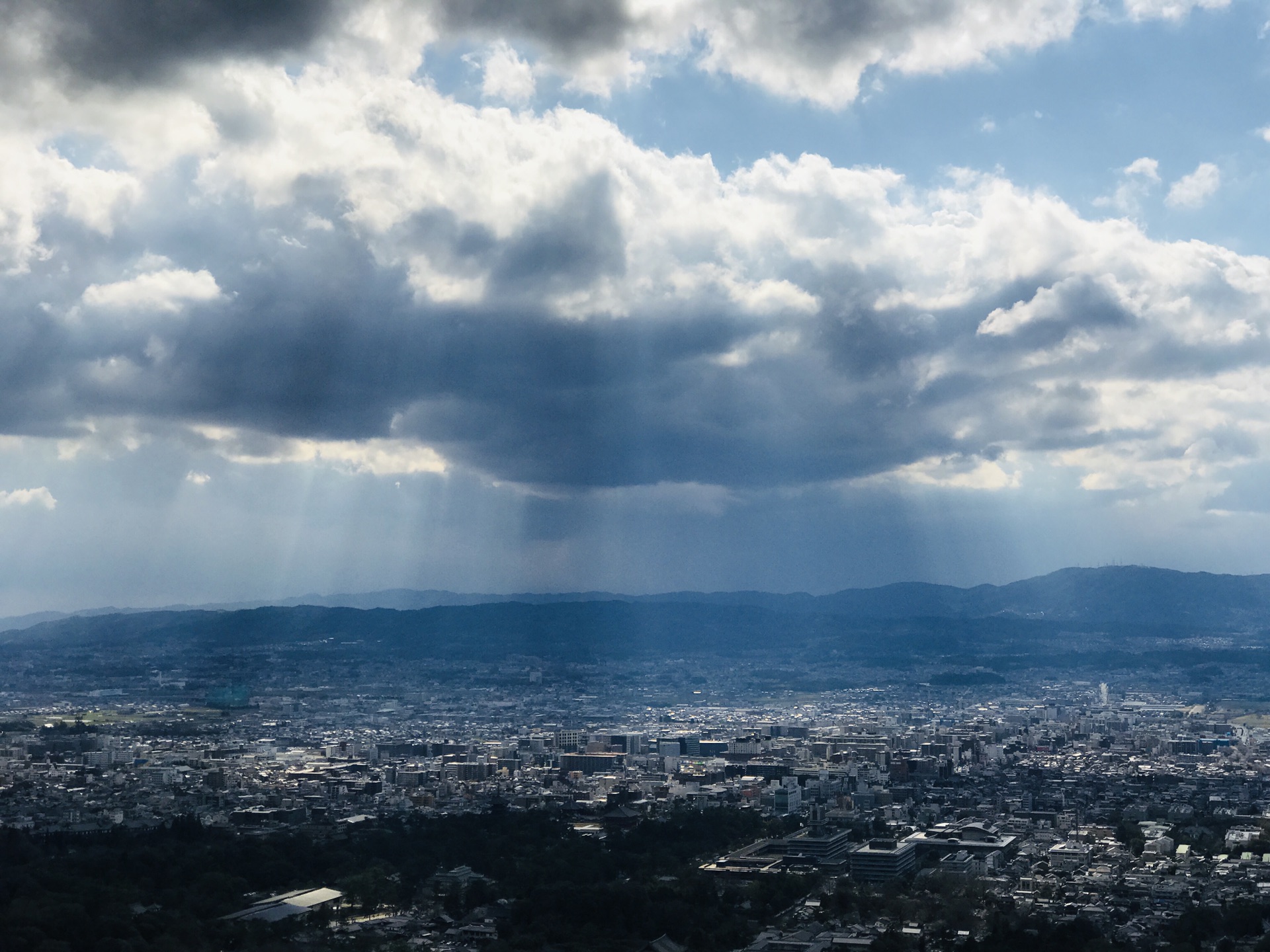 京都自助遊攻略