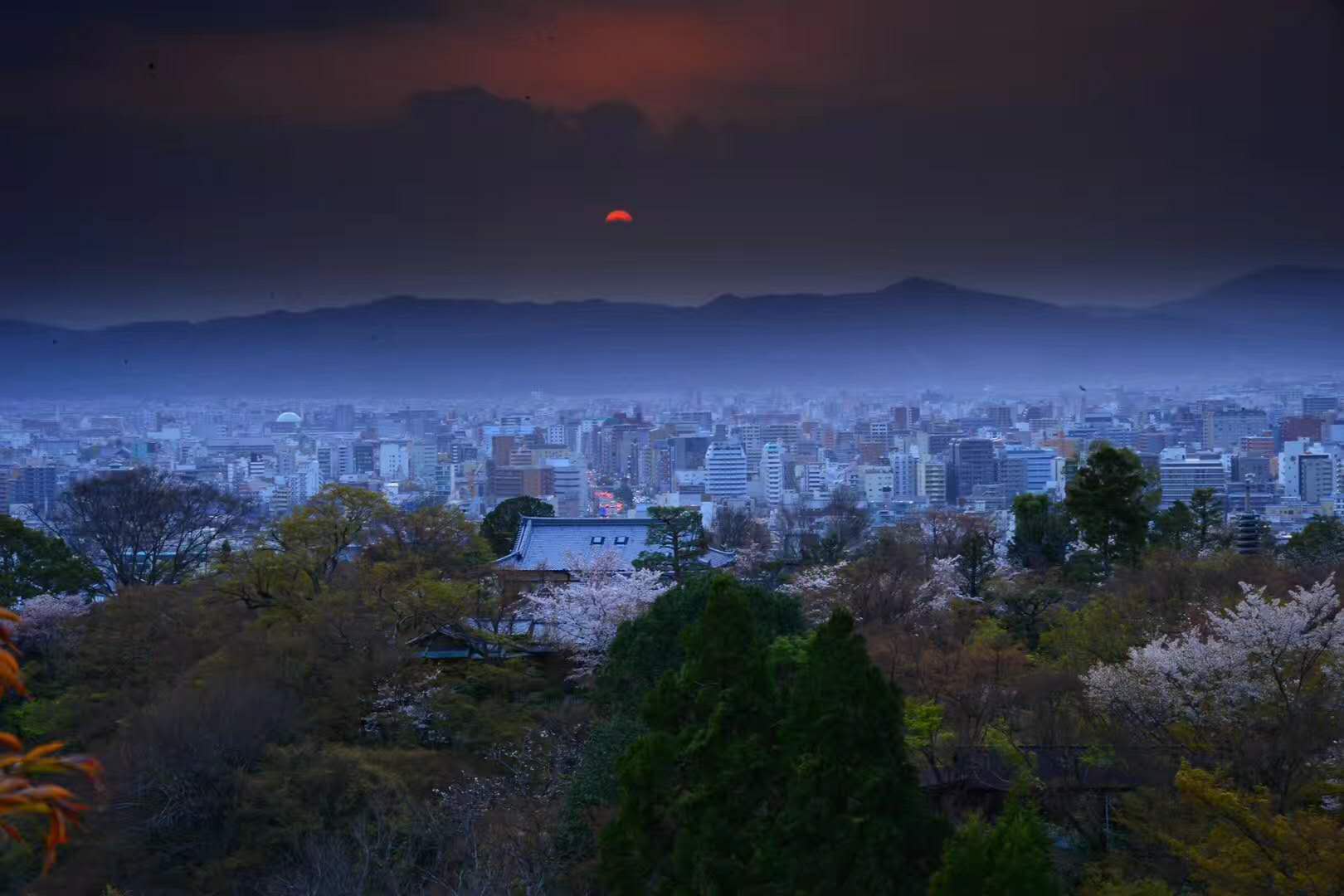 京都自助遊攻略