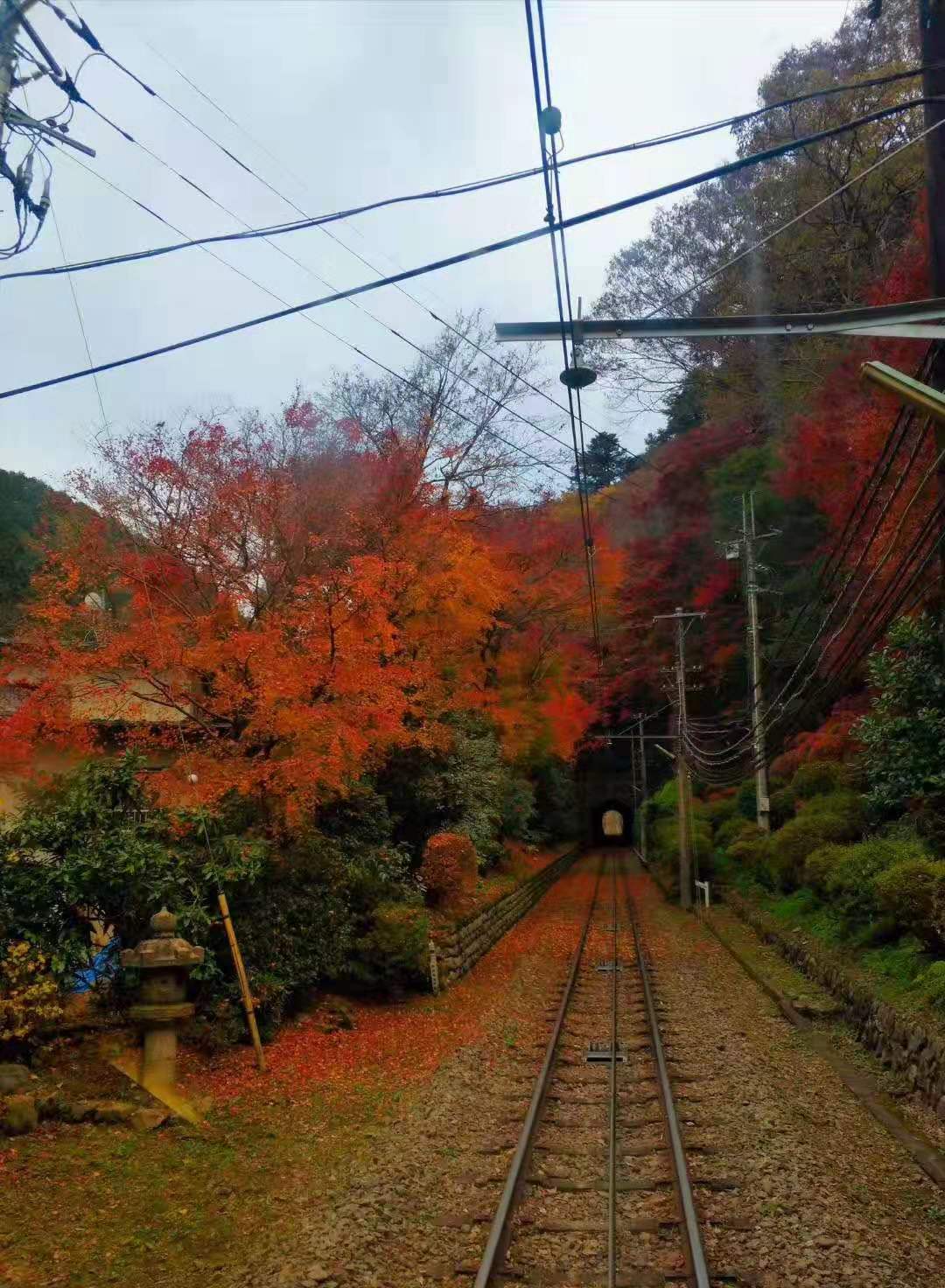 東京自助遊攻略