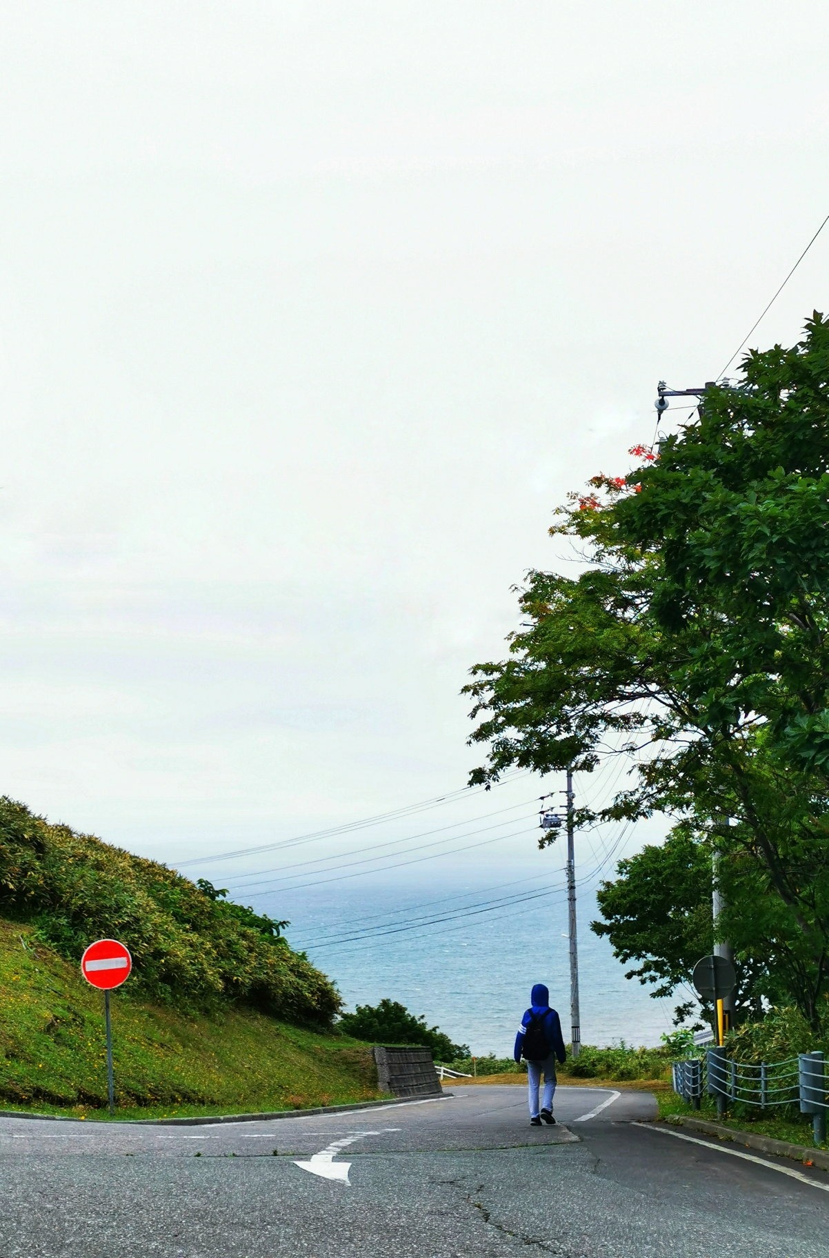 北海道自助遊攻略