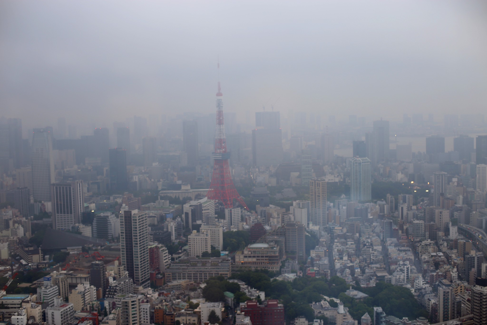 東京自助遊攻略