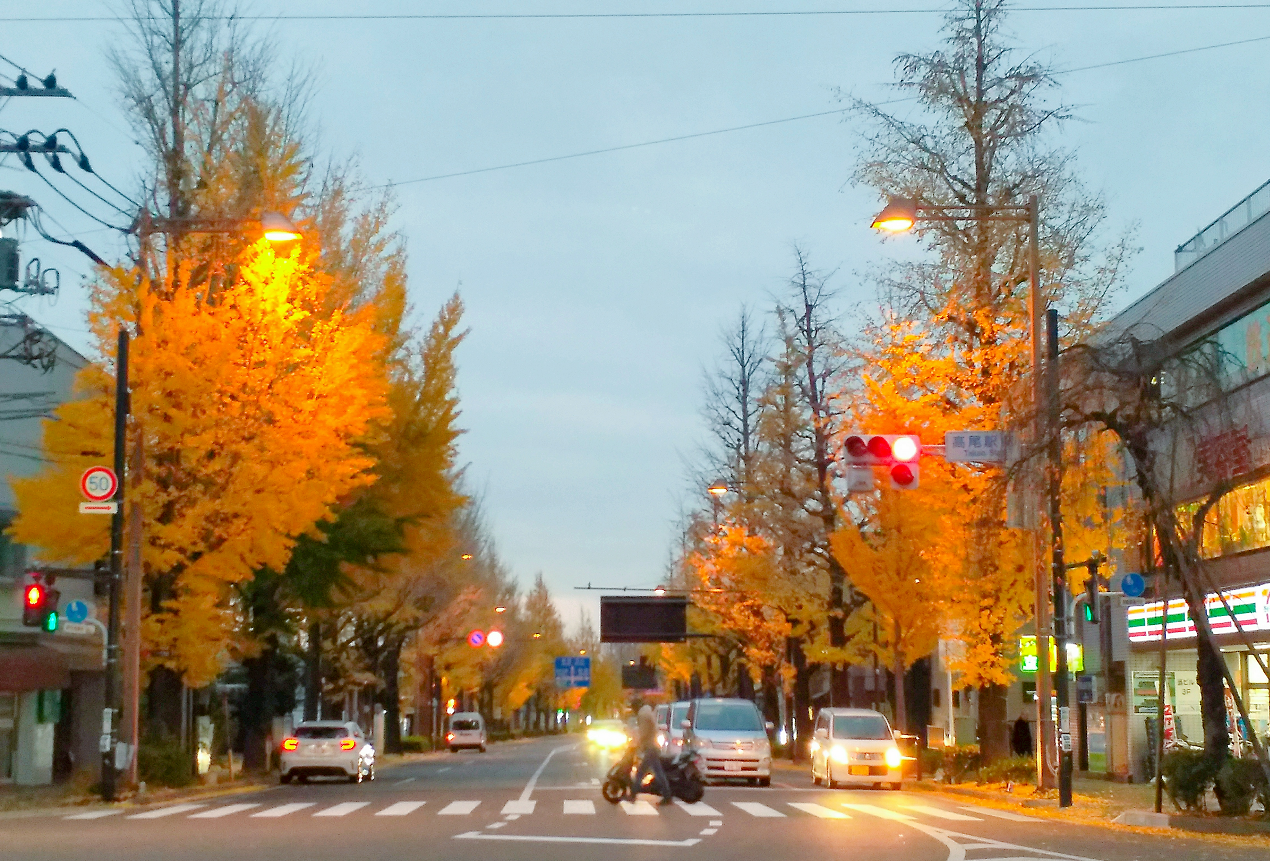 東京自助遊攻略