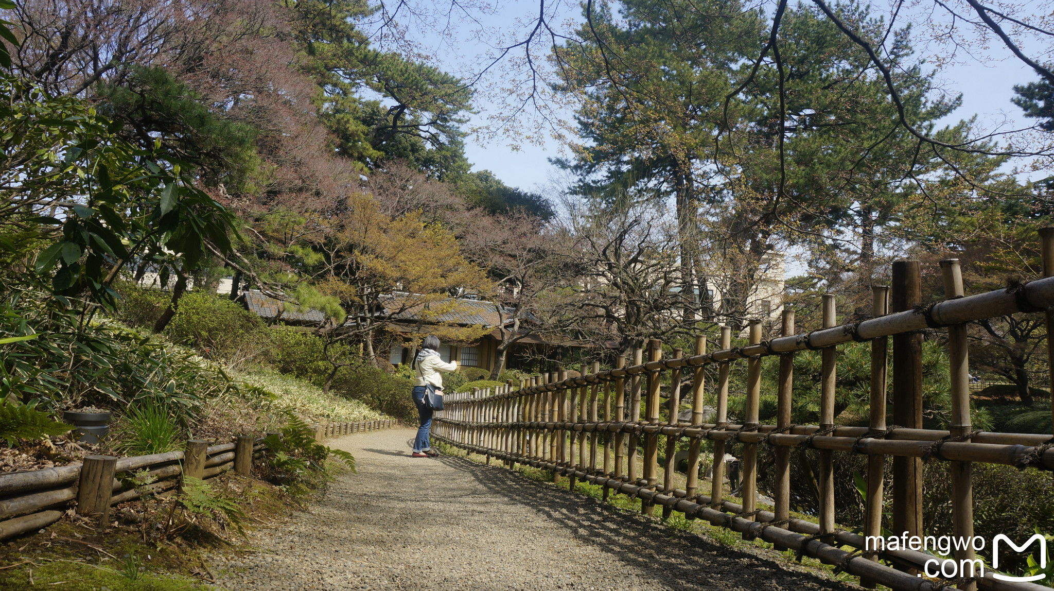 東京自助遊攻略