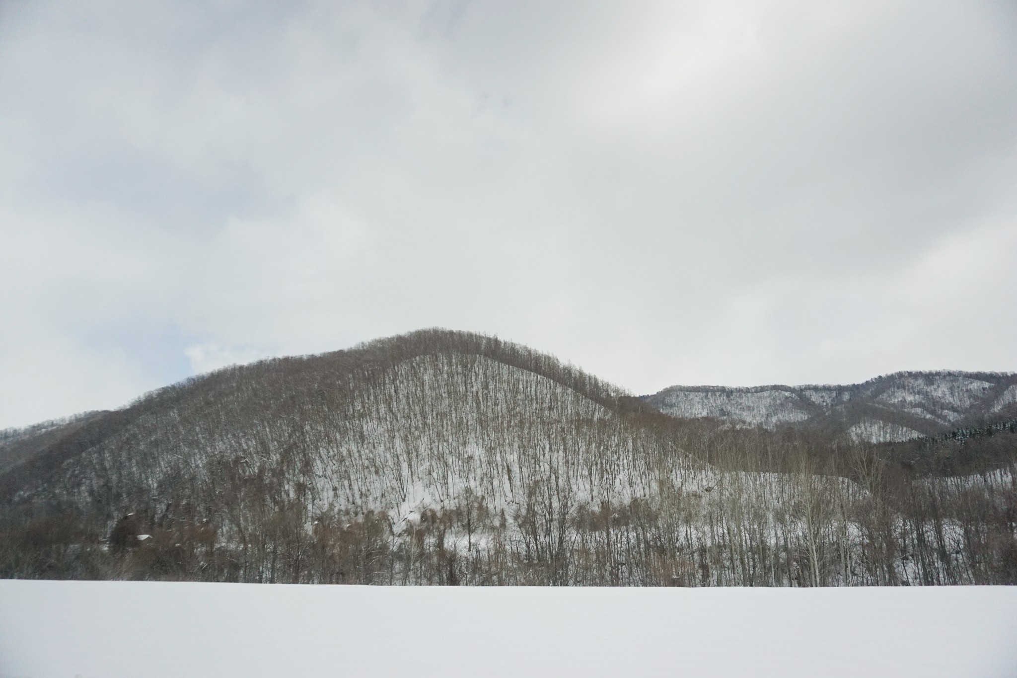 北海道自助遊攻略