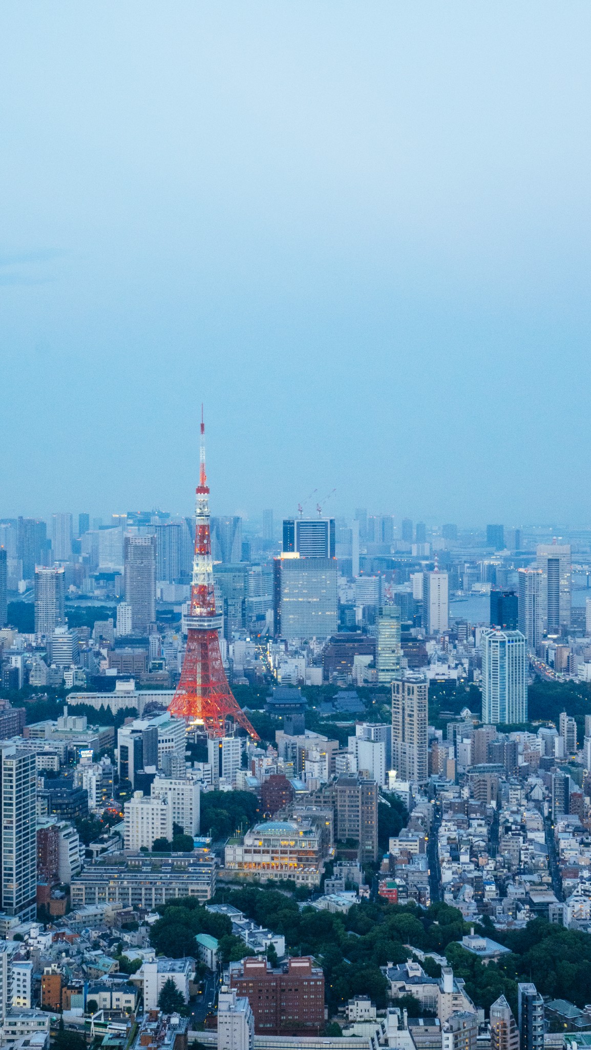 東京自助遊攻略