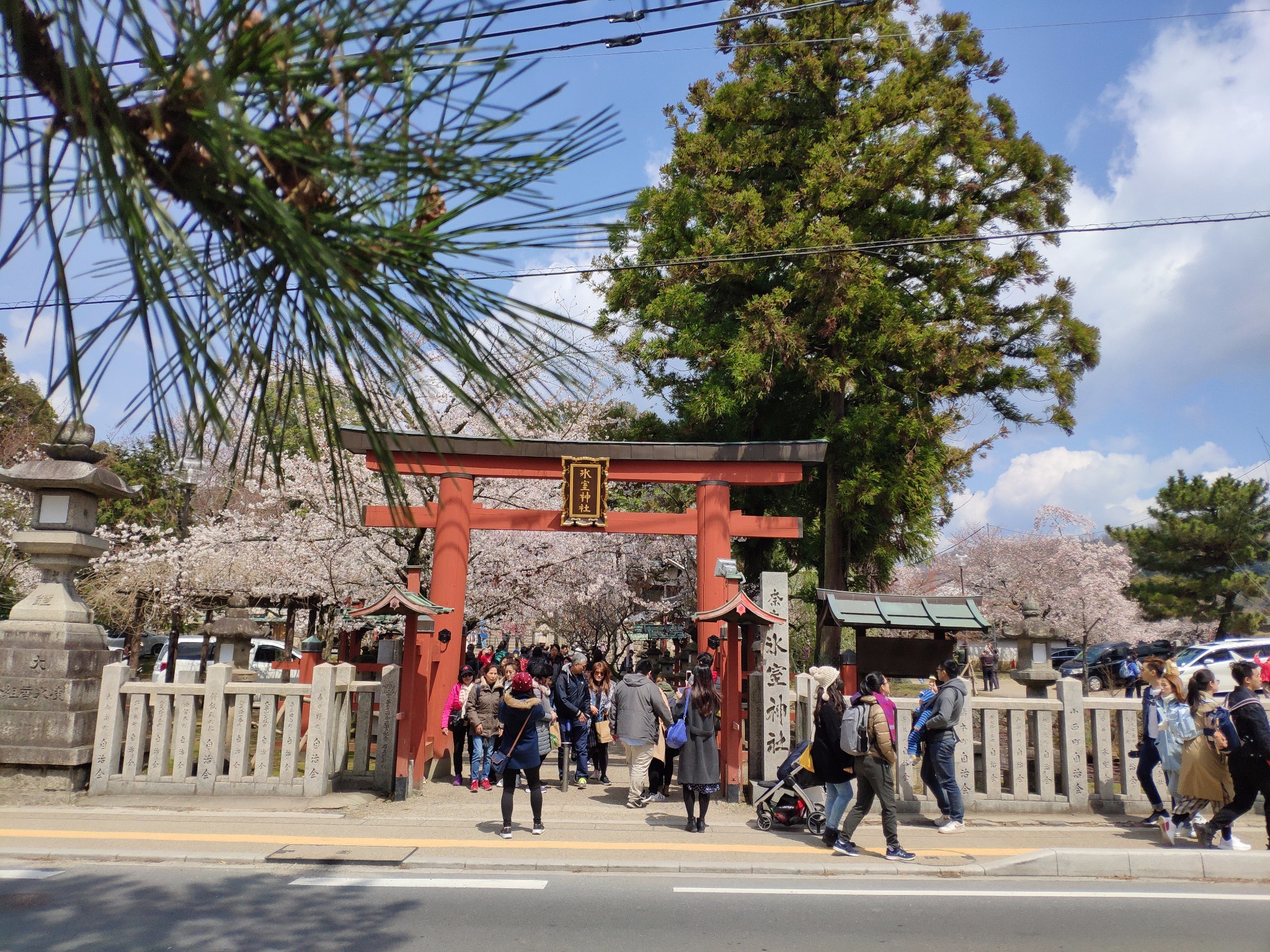 京都自助遊攻略