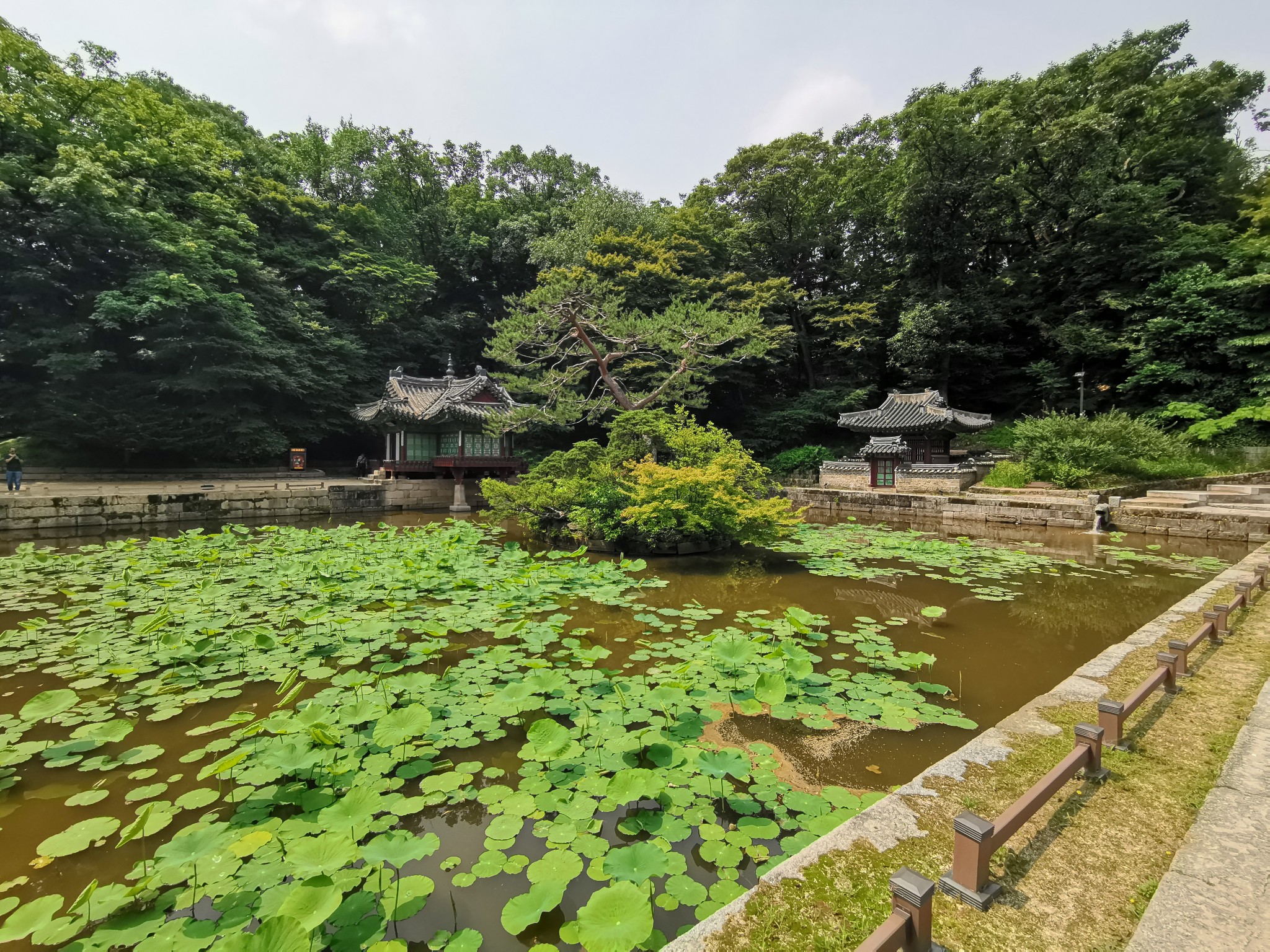 韓國自助遊攻略