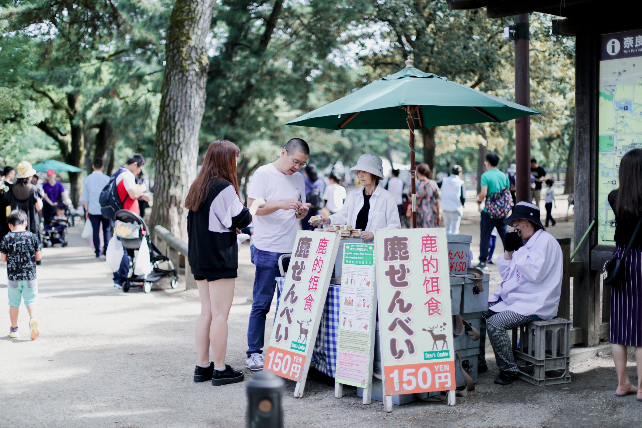 京都自助遊攻略