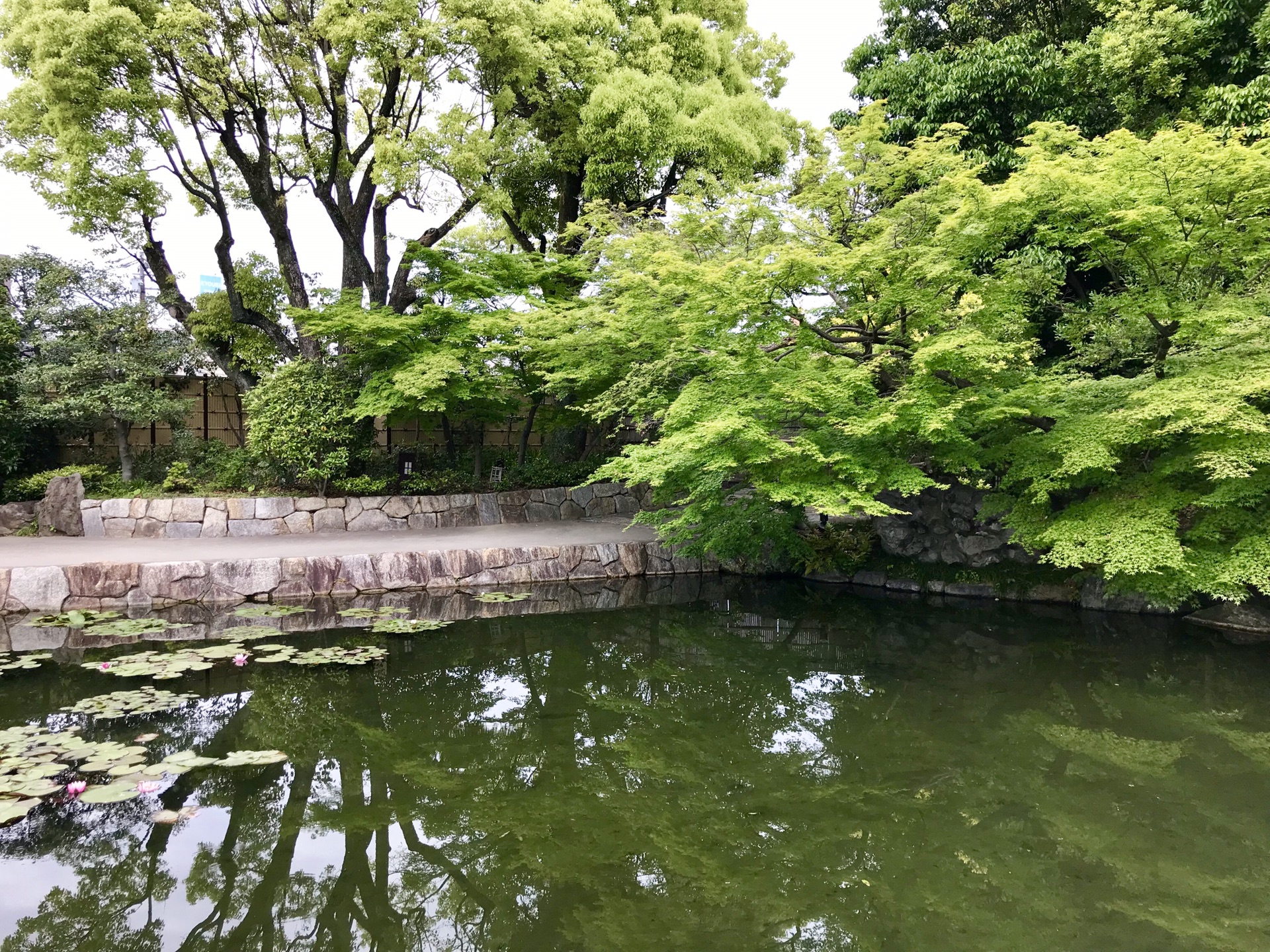 名古屋自助遊攻略