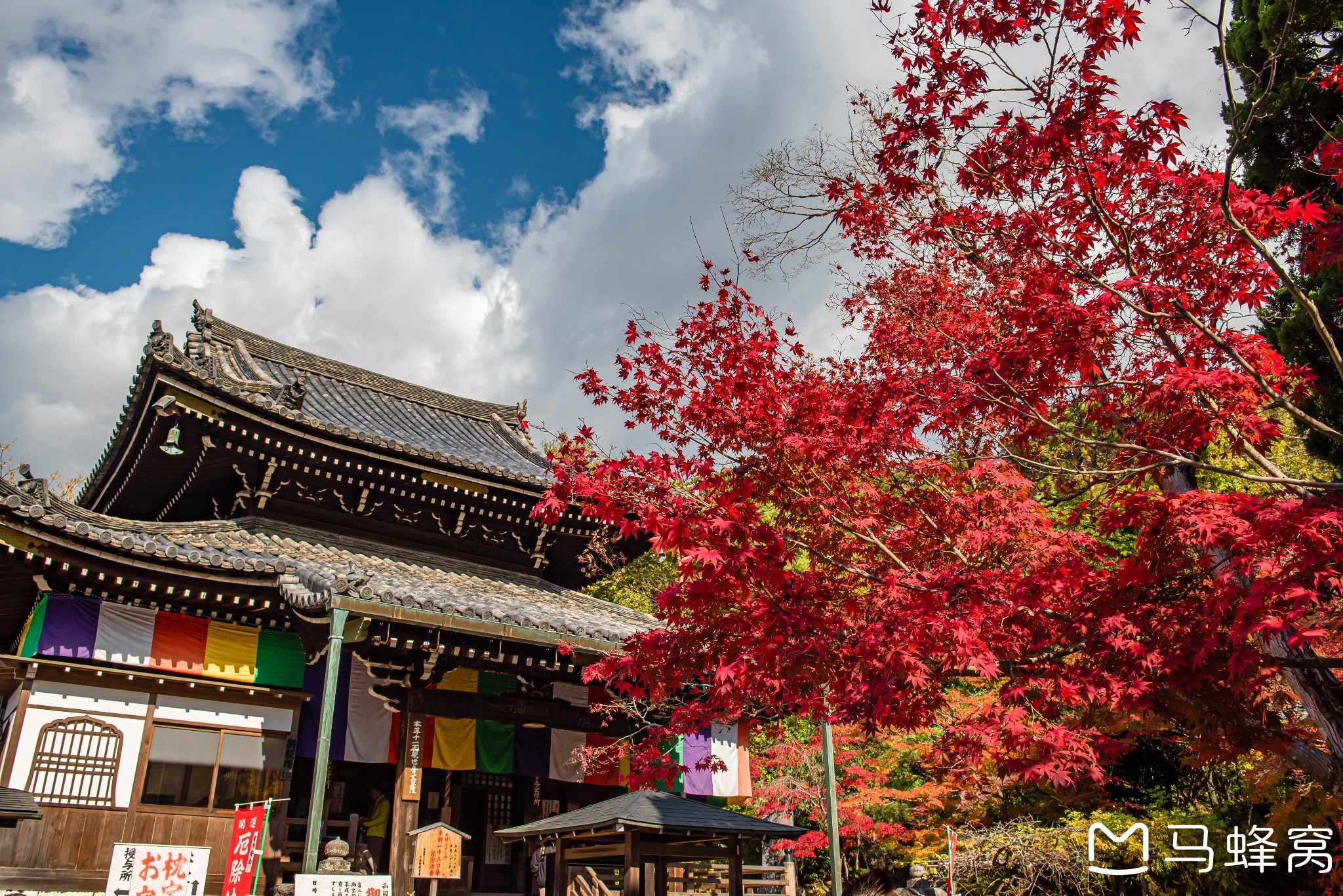 京都自助遊攻略