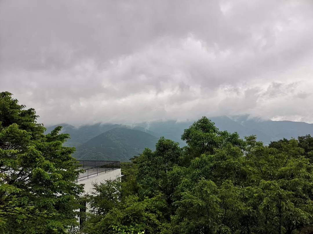 東京自助遊攻略