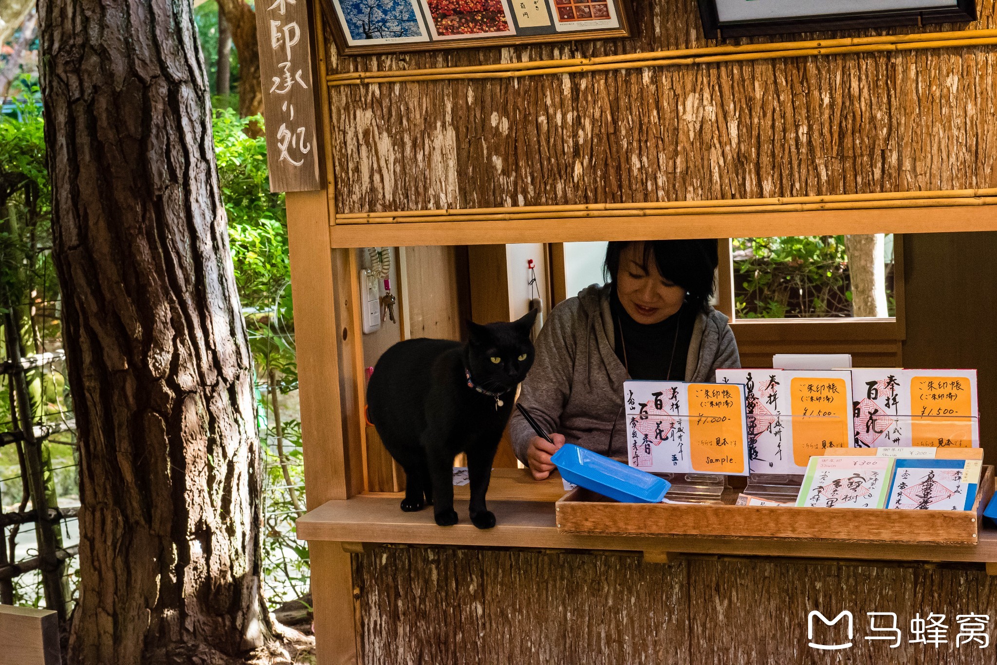 京都自助遊攻略